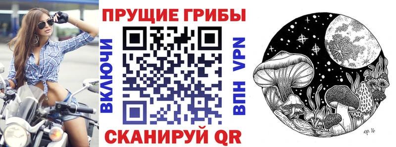 shop формула  Тамбов  Псилоцибиновые грибы мухоморы 