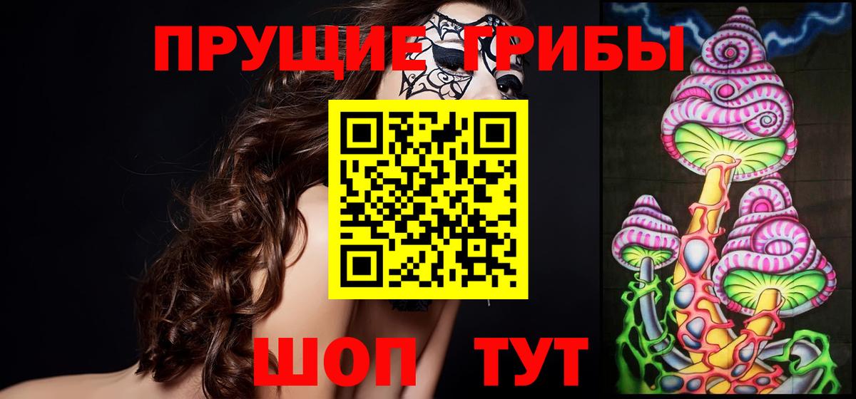 Тамбов  Псилоцибиновые грибы прущие грибы  Псилоцибиновые грибы Psilocybine cubensis  купить  сайты  Вход с VPN 